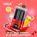 WGA Puff 30k Einweg Vape Pen | Dual Flavor